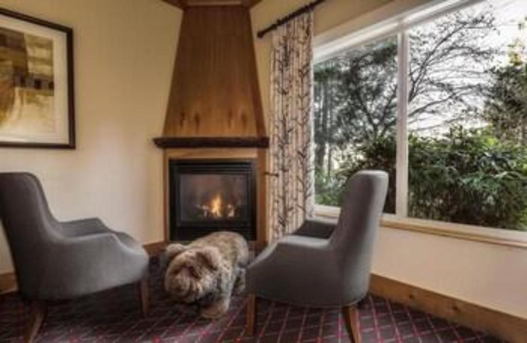 The Edgewater, A Noble House Hotel Сиатъл Екстериор снимка